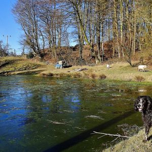 Farm holiday cottages in Wales
