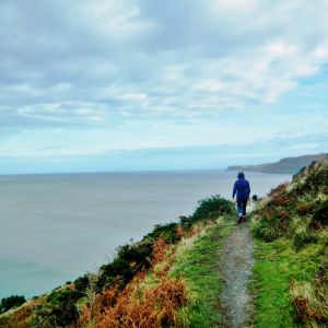 Farm holiday cottages in Wales