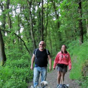 Farm holiday cottages in Wales