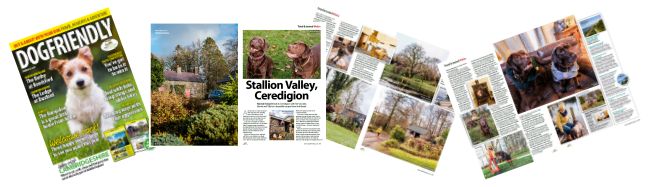 Your Dog Magazine